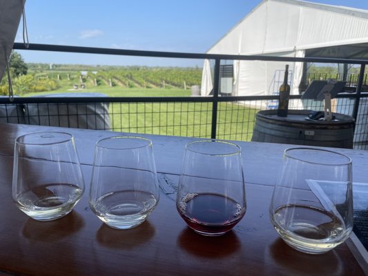 Ravine Vineyard Estate Winery by null