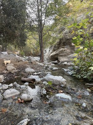 Eaton Canyon Falls by null