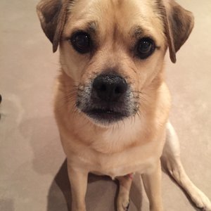 Woody’s Liquors on Yelp