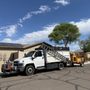 Photo of Lightning Tree Services
