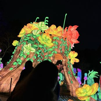 Glowfari - Zoos Near Me - Oakland, California Glowfari - Zoos Near Me - Oakland, California