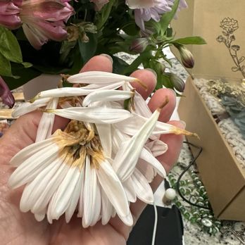 Susana's Flowers - When delivered. - Florists Near Me - Tomball, Texas Susana's Flowers - When delivered. - Florists Near Me - Tomball, Texas