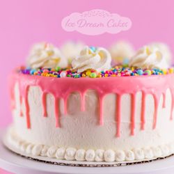 Ice Dream Cakes - Funfetti ice cream cake by Ice Dream Cakes