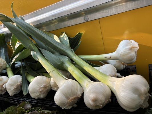 Falls Church Farmers Market by null