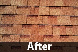 Slide of A1 Quality Roofing