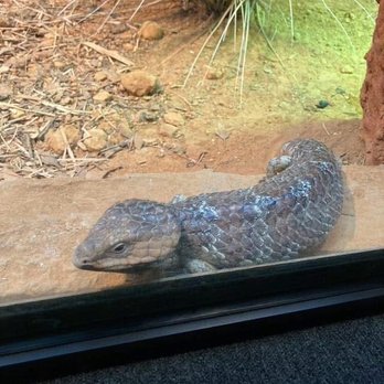 Audubon Zoo - Aquariums Near Me - New Orleans, Louisiana