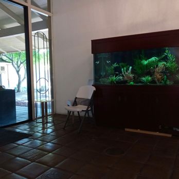 McEwen Dental - Lobby - General Dentistry Near Me - Sacramento, California McEwen Dental - Lobby - General Dentistry Near Me - Sacramento, California