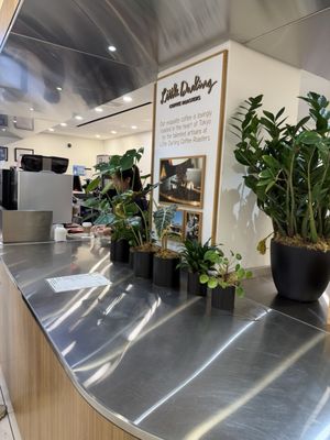 UNIQLO COFFEE 5th Avenue by null