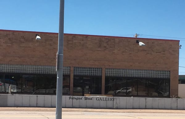 Petrified Wood Gallery by null