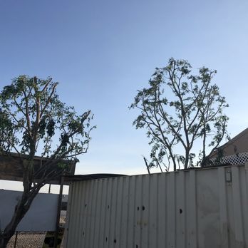 Empire Tree Service - Tree Services Near Me - Upland, California Empire Tree Service - Tree Services Near Me - Upland, California