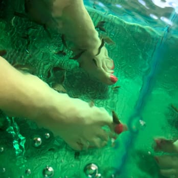 Fish Spa - Day Spas Near Me - Playa del Carmen, ROO Fish Spa - Day Spas Near Me - Playa del Carmen, ROO