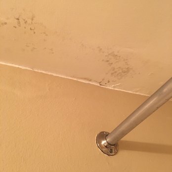 Gables of Troy - Mold has come back, yet again. - Apartments Near Me - Troy, Michigan