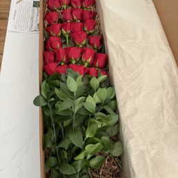 Roses!