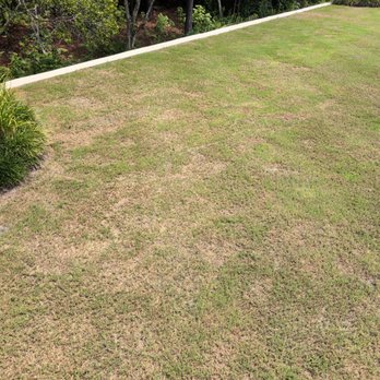 Peak Sodding - Lawn Services Near Me - Holly Springs, North Carolina Peak Sodding - Lawn Services Near Me - Holly Springs, North Carolina