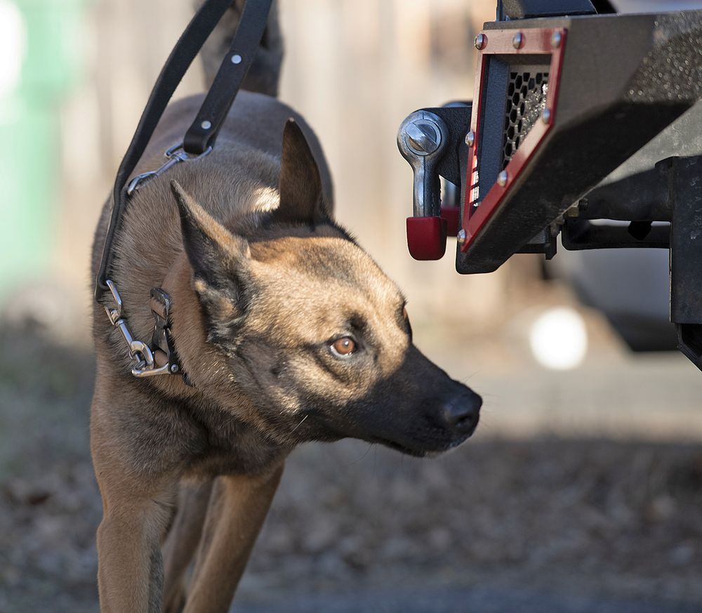 Conflicts Resolution Group - safety consultant in Minneapolis, MN