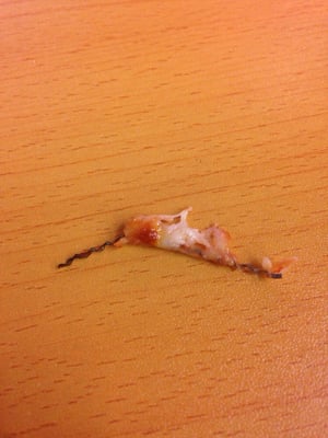 Cheesy Pizza by null