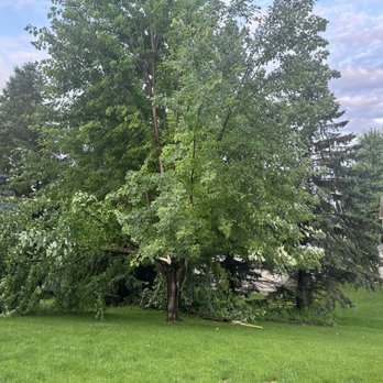 Arbor Barber Tree Service - Tree - Tree Services Near Me - Lakeville, Minnesota Arbor Barber Tree Service - Tree - Tree Services Near Me - Lakeville, Minnesota