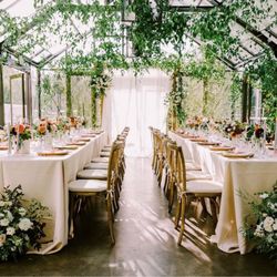 Wander Event Rentals