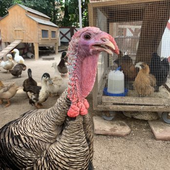 Happi Farm - Community Service/Non-Profit Near Me - Davie, Florida Happi Farm - Community Service/Non-Profit Near Me - Davie, Florida