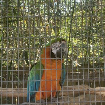 Tregembo Animal Park - Zoos Near Me - Wilmington, North Carolina Tregembo Animal Park - Zoos Near Me - Wilmington, North Carolina