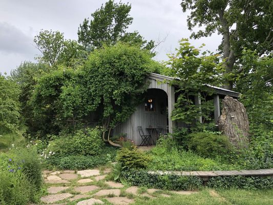 Tangled Garden by null