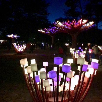 Entwined Lighted Forest - Public Art Near Me - San Francisco, California Entwined Lighted Forest - Public Art Near Me - San Francisco, California