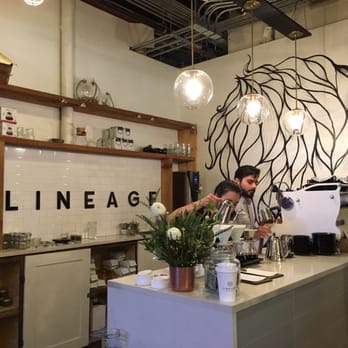 Lineage Coffee Roasting - Coffee & Tea Near Me - Orlando, Florida Lineage Coffee Roasting - Coffee & Tea Near Me - Orlando, Florida