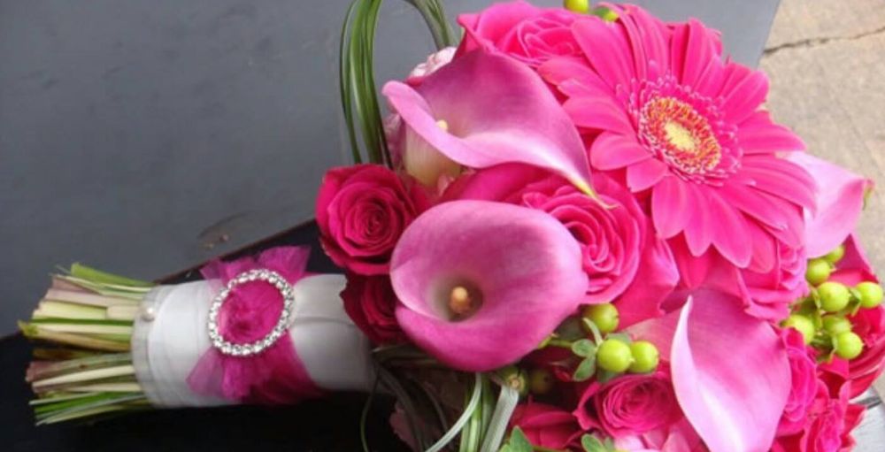 YMCA of Greater Oklahoma City - social services organization in Oklahoma City, OK