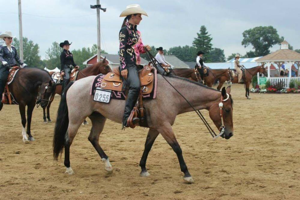 High View Farm - equestrian in Cumberland, RI