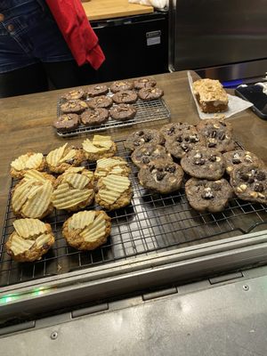 Night Owl PNW by null