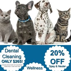 jersey animal hospital