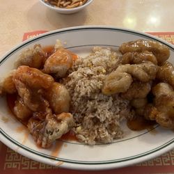 Jade Garden - General Tso, fried rice, and battered sweet and sour pork.