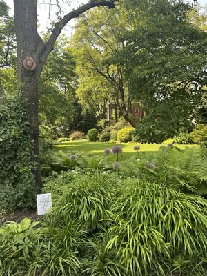 Pier 45 at Hudson River Park by null