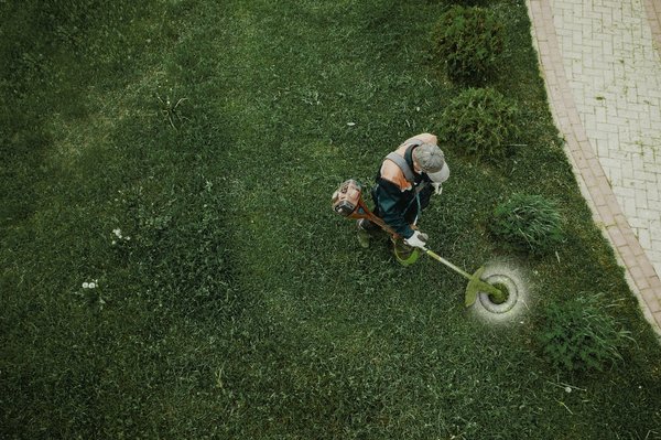 Commercial Lawn Care - Since there are no search results for "help assembling a desk" or "light switch cover replacement" we have expanded our business in a way to try to cover any and every general need that a company may need. When we say we do it all, we mean that we do it all.
Services include but are not limited to:
Mowing, weedeating and weed spraying Commercial Lawn Care - Since there are no search results for "help assembling a desk" or "light switch cover replacement" we have expanded our business in a way to try to cover any and every general need that a company may need. When we say we do it all, we mean that we do it all.
Services include but are not limited to:
Mowing, weedeating and weed spraying