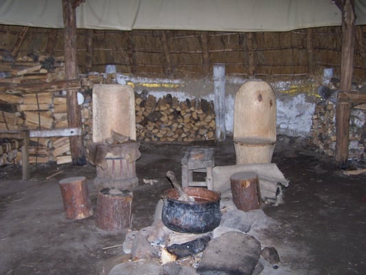 Vitlycke Museum by null