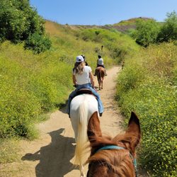 Reign Equine Riding - Trail Rides