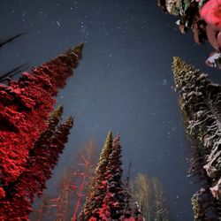 Wasatch Adventure Guides - New snow on trees, full moon, lots of stars, red headlamps