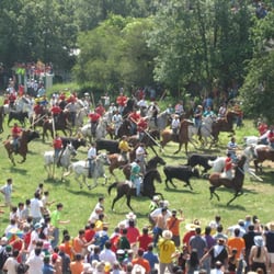 fiestas de sanjuan