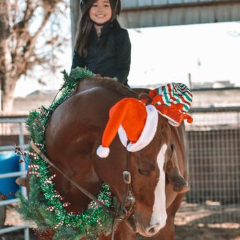 CA Horse & Pony - Horseback Riding Near Me - Lathrop, California CA Horse & Pony - Horseback Riding Near Me - Lathrop, California