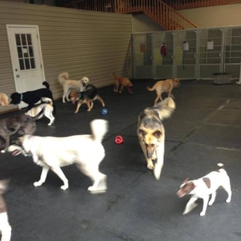 Barkside Lodge - Pet Training Near Me - Lenoir City, Tennessee Barkside Lodge - Pet Training Near Me - Lenoir City, Tennessee