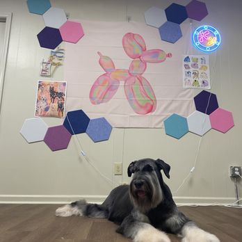 Pittsboro Pups - Pet Groomers Near Me - Pittsboro, North Carolina Pittsboro Pups - Pet Groomers Near Me - Pittsboro, North Carolina