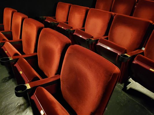 Lark Theater by null