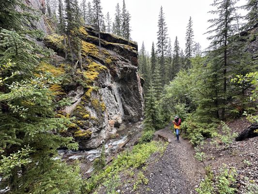 Sulphur Mountain by null