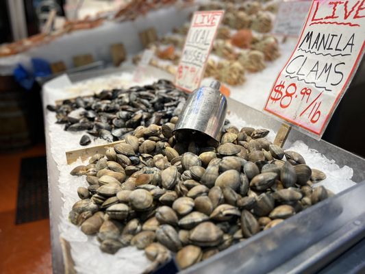 Pure Food Fish Market by null