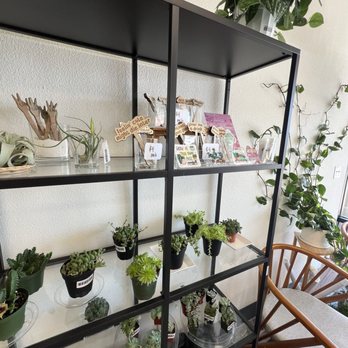 Let Me Take A Look - Cute plant lovers gifts - Cards & Stationery Near Me - Fresno, California Let Me Take A Look - Cute plant lovers gifts - Cards & Stationery Near Me - Fresno, California