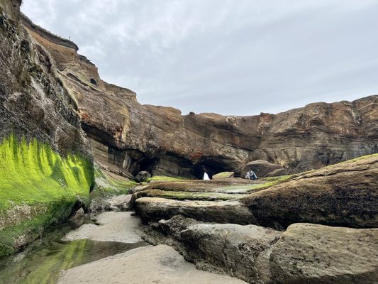 Devils Punchbowl State Natural Area by null
