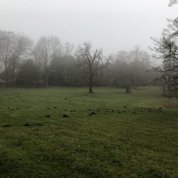 Reemtsmapark - Winterliche Leere