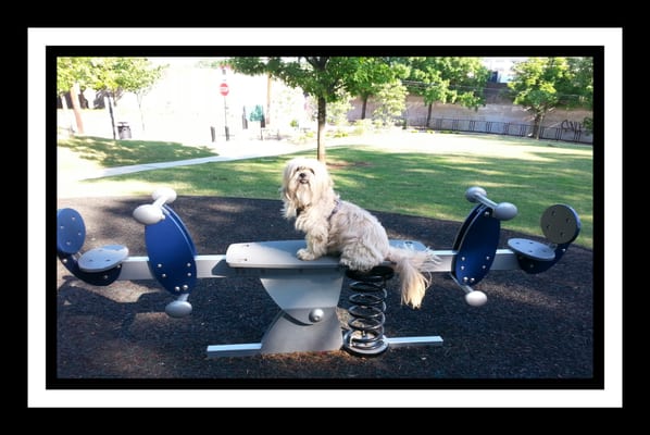 Esther Peachy Lefevre Park by null