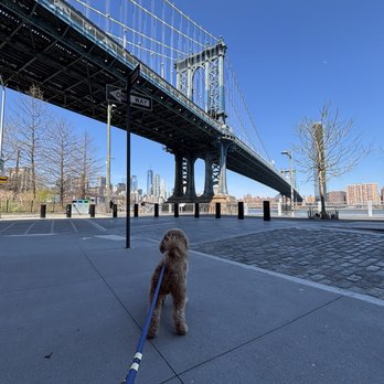Brooklyn Bridge Park - Parks Near Me - Brooklyn, New York