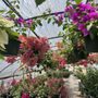 Snooper's Nursery